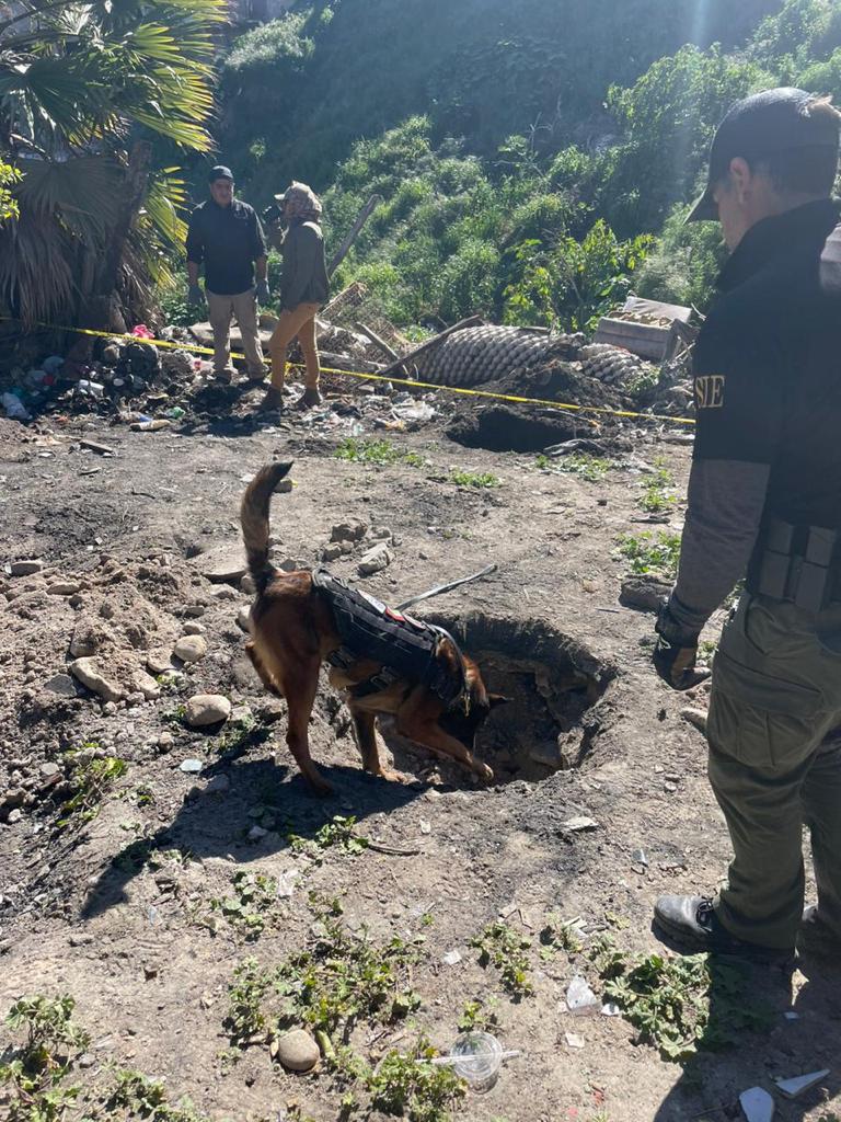 Realiza la FGE cateo en vivienda en busca de Guadalupe Elizabeth Puga Vega