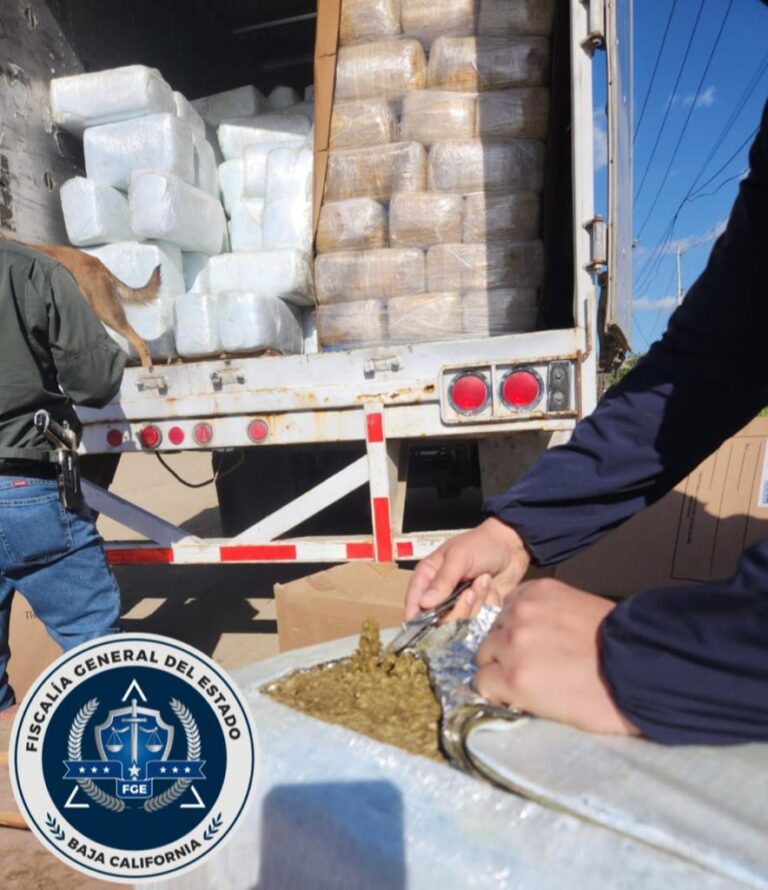 Incautan AEI y Fuerzas Armadas más de 12 toneladas de droga