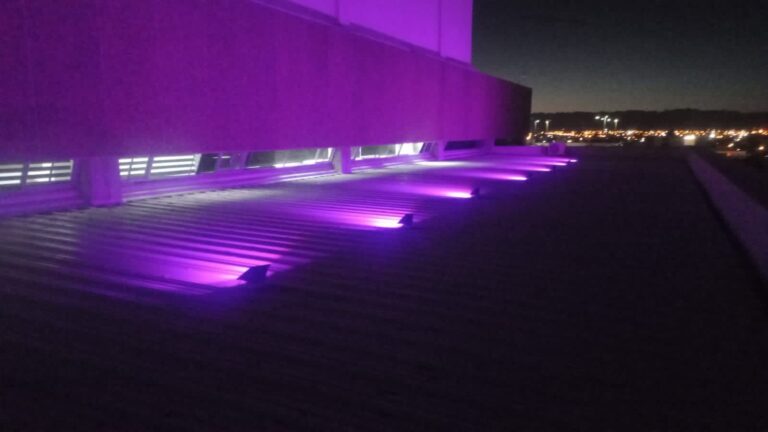 Inicia Gobierno de BC acciones de concientización por Mes de la Mujer