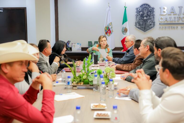 Escucha y atiende Marina del Pilar necesidades de productores de trigo del Valle de Mexicali