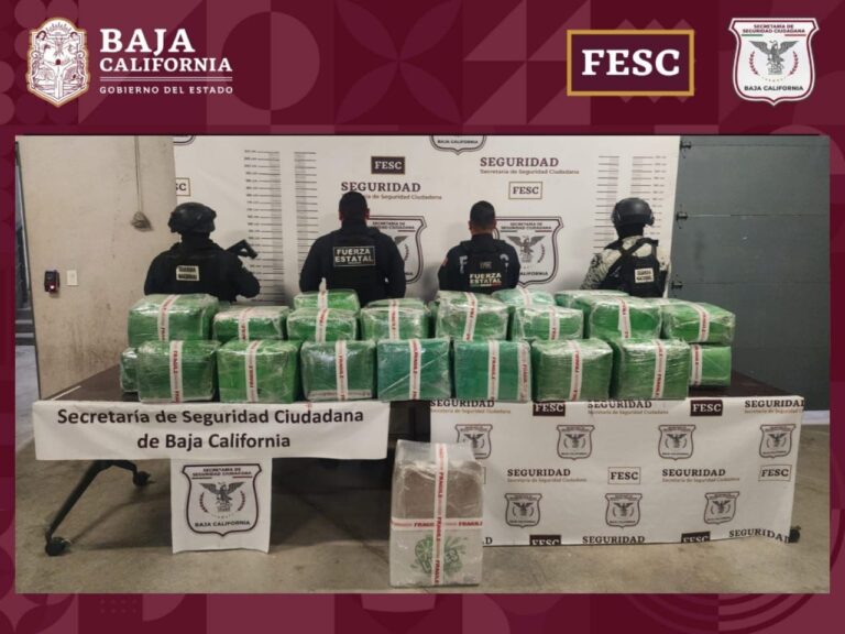 Confiscan FESC y GN cerca de media tonelada de metanfetaminas