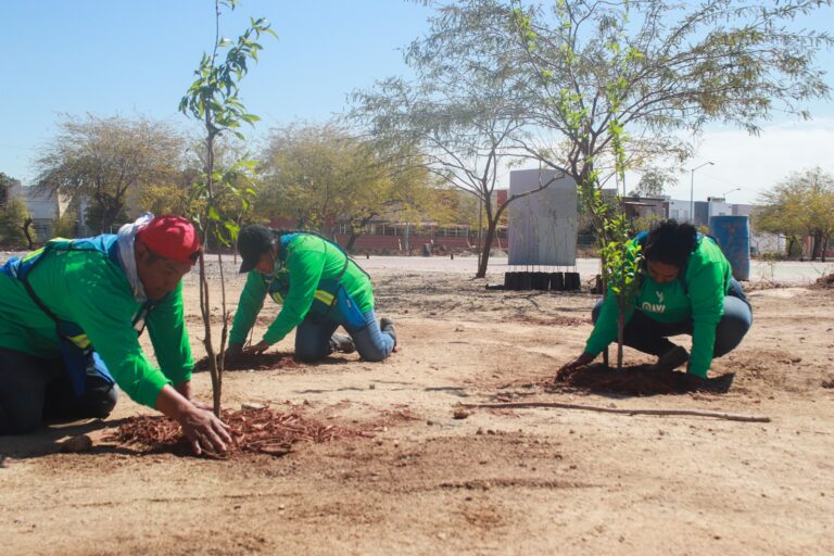 Continúan con éxito obras en el Parque Lagunas México