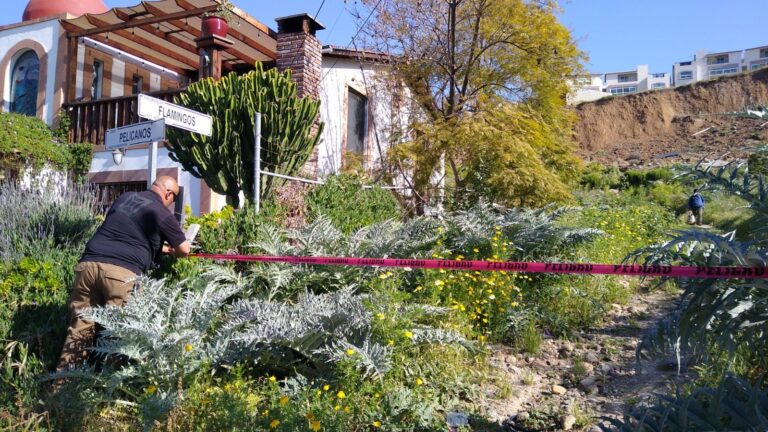 Atiende Protección Civil colapso de muro de contención en Colinas de Chapultepec