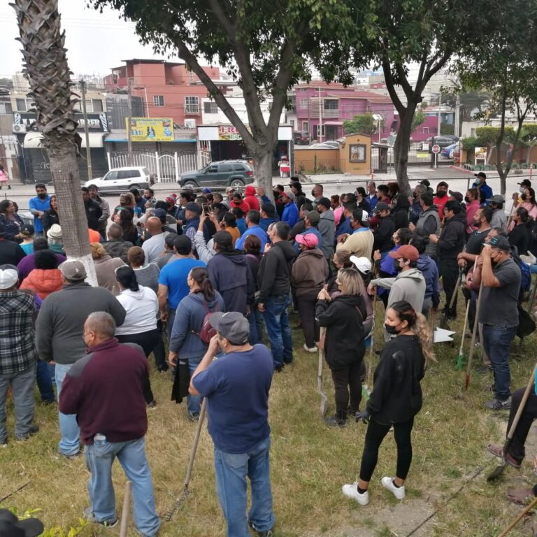 Realizan Ayuntamiento y comercio ambulante jornada de reforestación ‘Por una Tijuana para todos’