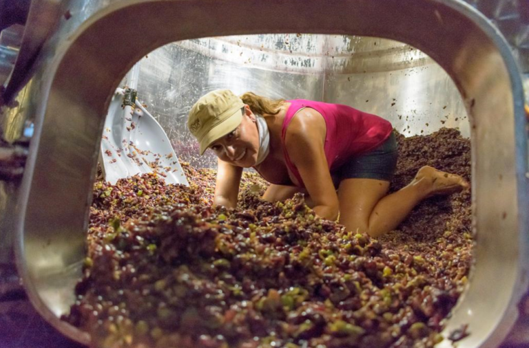 Obtiene Casta de Vinos tres medallas de Oro en el Challenge International Du Vin 2023 en Burdeos, Francia