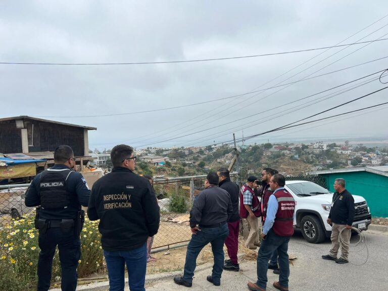 Rescata Ayuntamiento a dos canes en condición de maltrato