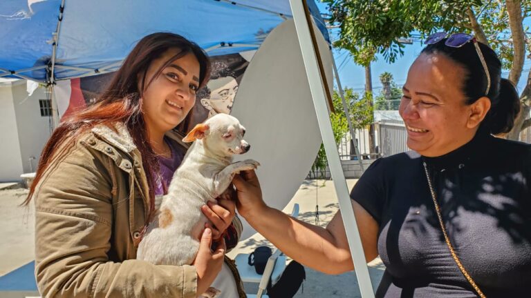 Lleva regidora Marisol Hernández programa de esterilización de mascotas a la Flores Magón