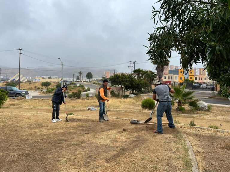 Transforma Ayuntamiento Hacienda Los Venados