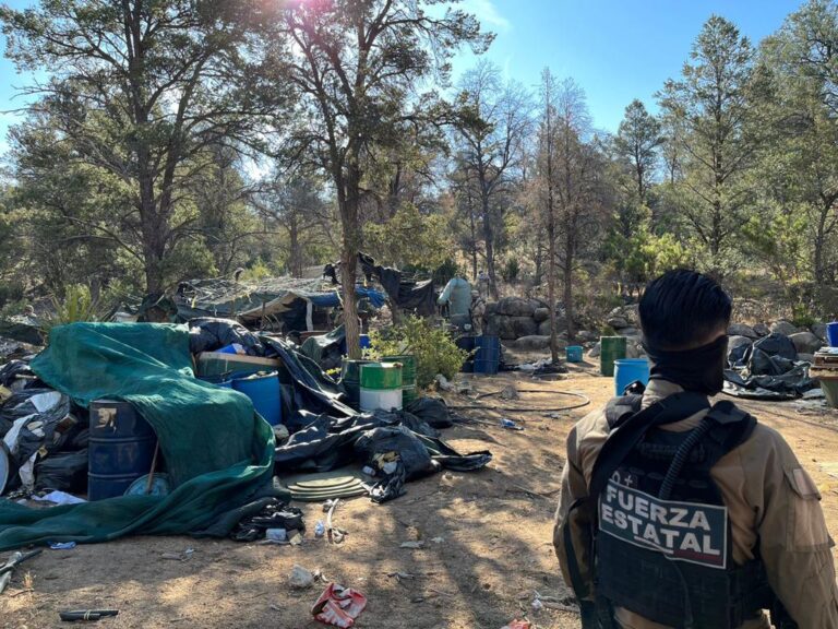 Localizan Fuerza Estatal y SEDENA laboratorio de droga y plantíos de marihuana en La Rumorosa