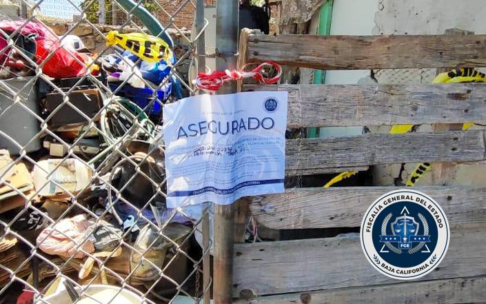 Rescata FGE a siete canes y otros animales tras cateo y hay un detenido