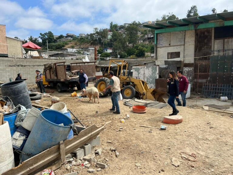 Implementa Ayuntamiento operativo para resguardar animales víctimas de maltrato