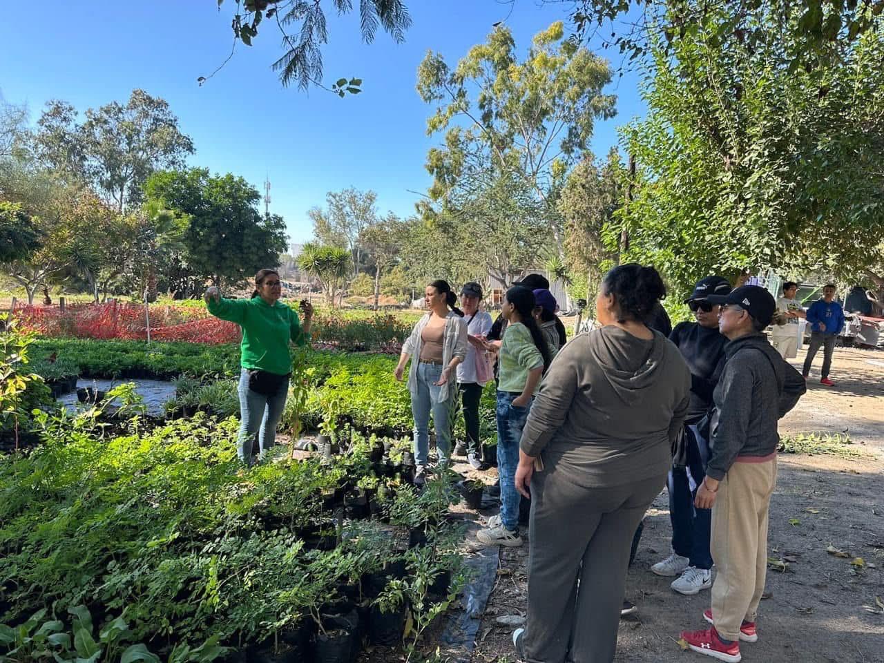 Promueve Gobierno de Tijuana talleres de Huertos y Jardines Polinizadores