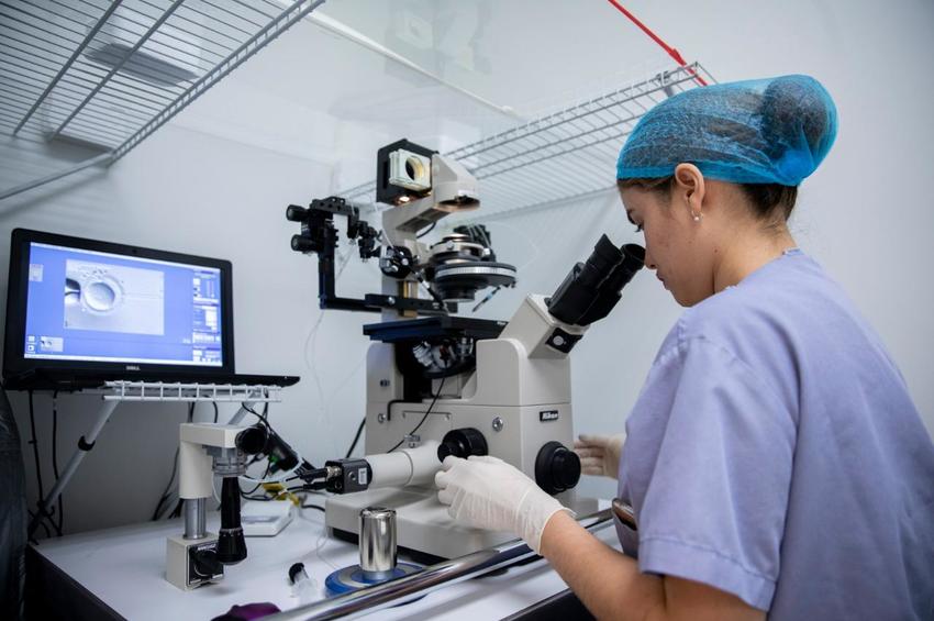 Crece demanda internacional por servicios de reproducción asistida en la frontera