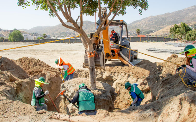Promueve Nación Verde el trasplante responsable de árboles en Tijuana