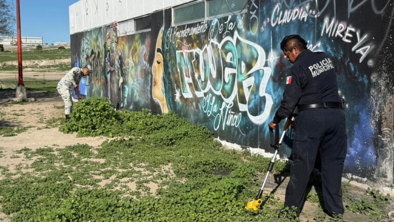 Realiza SSPCM jornada de limpieza y recuperación de espacios públicos en Terrazas del Valle
