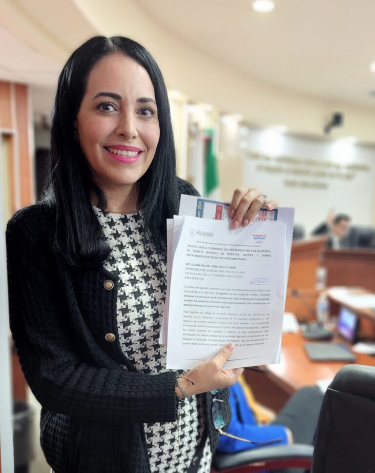 PRESENTA DIP. MAYOLA GAONA REFORMA A LEY EN MATERIA DE IMPUESTO SOBRE REMUNERACIÓN AL TRABAJO PERSONAL