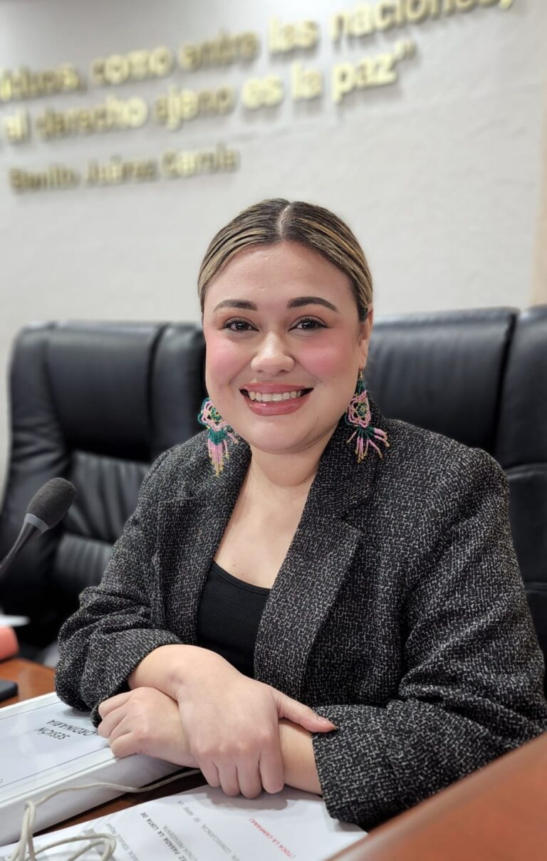PIDE DIP. MICHELLE TEJEDA REHABILITACIÓN URGENTE DE LA CALZADA HEROICA PUEBLA EN EL ORIENTE DE MEXICALI