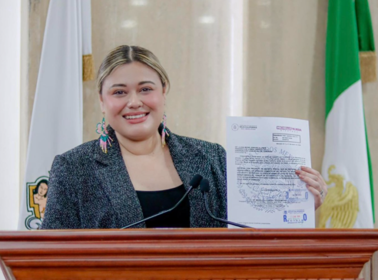 CABILDOS DEBERÁN INTEGRAR COMISIONES SOBRE NIÑEZ Y PERSONAS CON DISCAPACIDAD