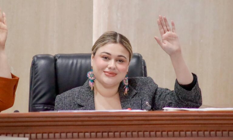 DIPUTADA MICHELLE TEJEDA BUSCA PROHIBIR LA VENTA IRREGULAR DE ANIMALES
