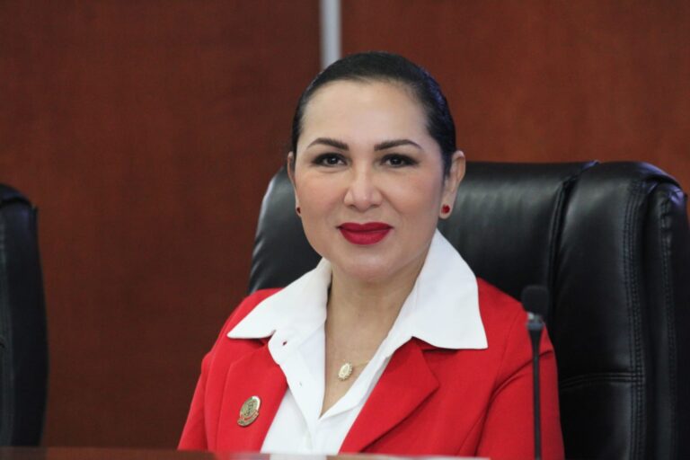 PIDE DIPUTADA ARACELI GERALDO A AYUNTAMIENTOS A RECONOCER LICENCIA Y TARJETA DE CIRCULACIÓN DIGITAL