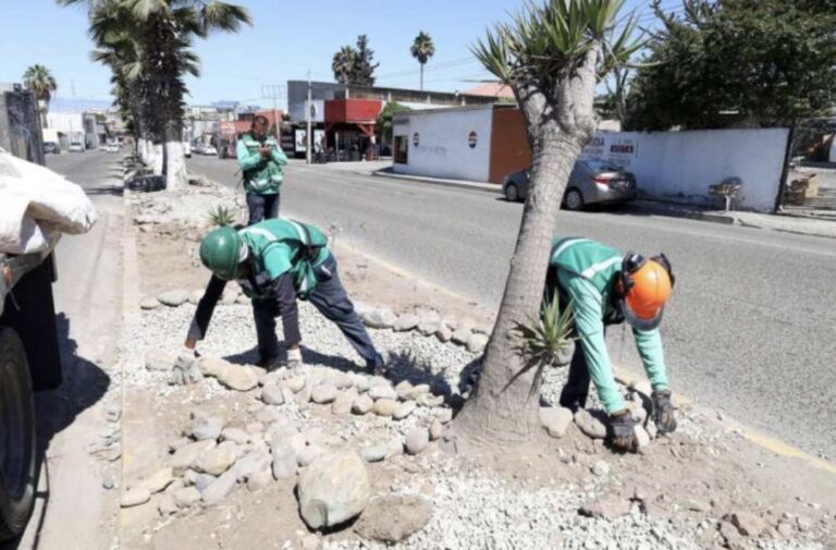 Plantea REDD rediseñar Tijuana con infraestructura verde