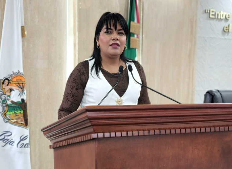 PLANTEAN QUE SE IMPLEMENTE UN PROGRAMA DE SALUD MENTAL EN ESCUELAS DE EDUCACIÓN BÁSICA