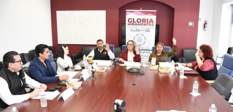 APRUEBAN DIVERSAS REFORMAS EN MATERIA DE SALUD MENTAL, PÚBLICA Y PREVENCIÓN DE ADICCIONES