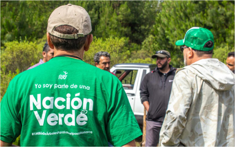 Se integra nación verde al consejo nacional forestal para generar políticas medioambientales