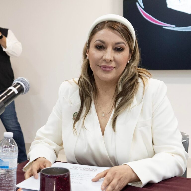 IMPULSA DIPUTADA ANGÉLICA PEÑALOZA EL DERECHO HUMANO A LA LACTANCIA