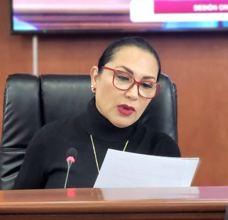 EXHORTA DIPUTADA ARACELI GERALDO A GARANTIZAR MAYOR TRANSPARENCIA EN APLICACIÓN DE MULTAS DE TRÁNSITO
