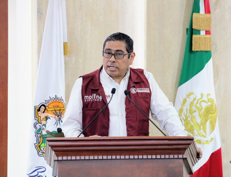 DIP. MOLINA PROPONE BLINDAR EL VOTO Y TRANSPARENTAR EL FINANCIAMIENTO DE PARTIDOS POLÍTICOS