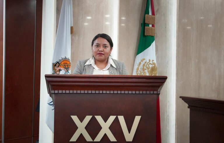 DIPUTADA EVELYN SÁNCHEZ PROPONE GARANTIZAR LA PROTECCIÓN JURÍDICA DE LOS TEXTILES INDÍGENAS