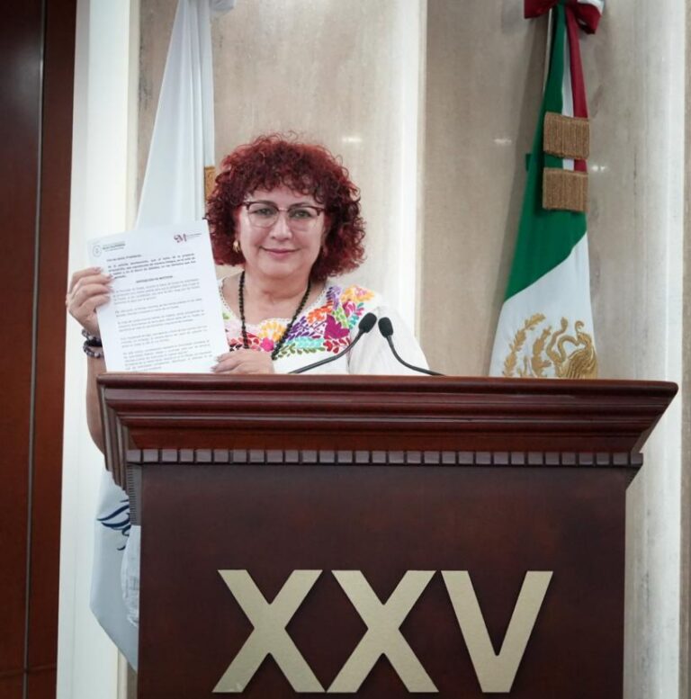 LLAMA DIPUTADA MAYTHÉ MÉNDEZ A GARANTIZAR SEGURIDAD VIAL EN VALLE DE LAS PALMAS