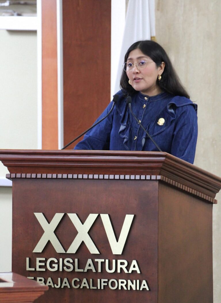 DIPUTADA MICHEL SÁNCHEZ ALLENDE PROPONE AMPLIAR PROTECCIÓN CONTRA VIOLENCIA DIGITAL